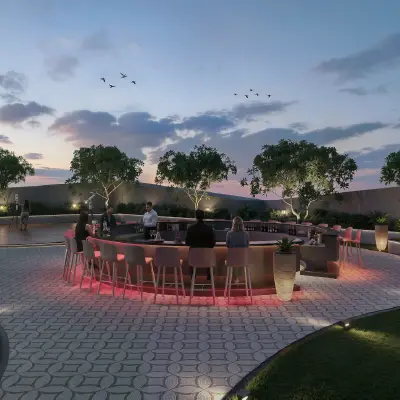 Party Lawn
