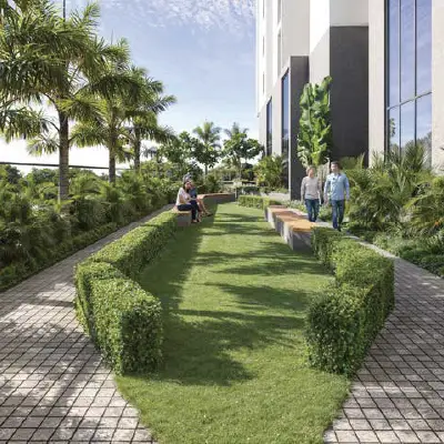 Landscaped Lawn